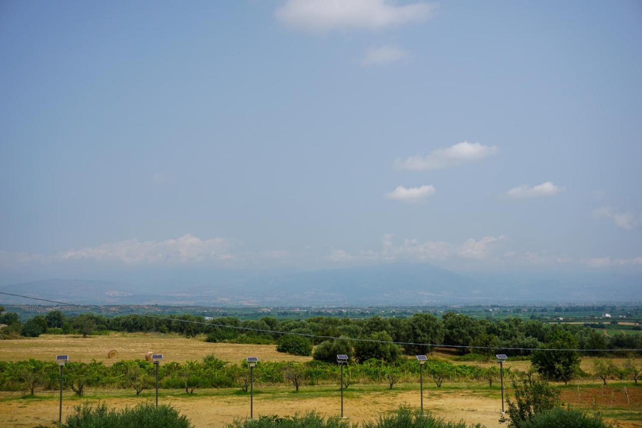 Agriturismo Casacchella Marina di Sibari Kültér fotó