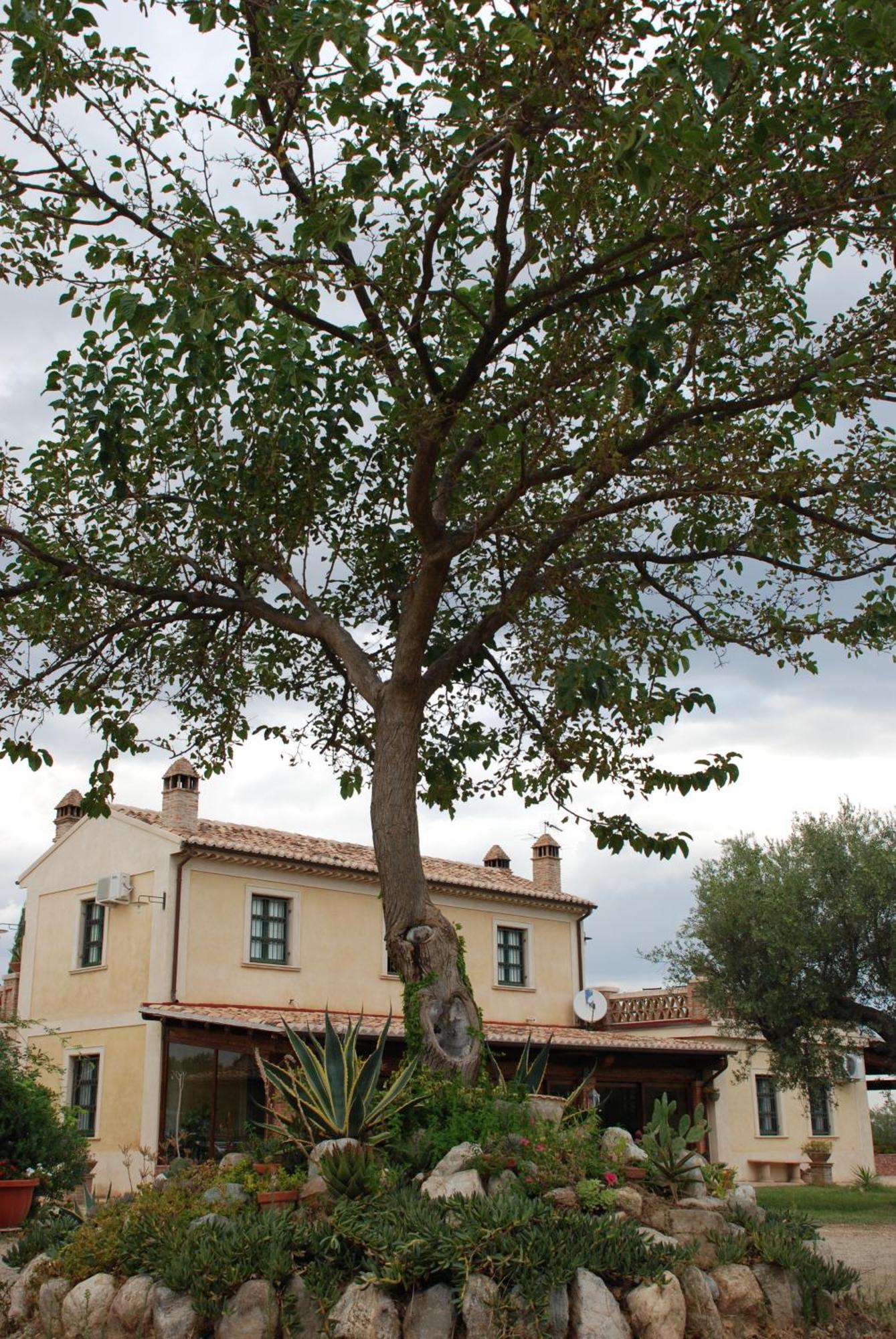 Agriturismo Casacchella Marina di Sibari Szoba fotó